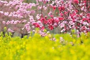 2f885469e2686afeb7f3e536d9b82ae4_s