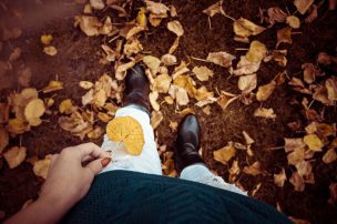 autumn-993762_640
