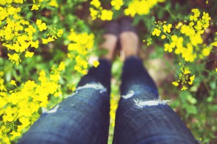 legs-766046_1280