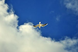 sky-1281720_640